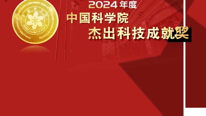 AI应用哪家强？揭秘行业领先企业背后的技术实力